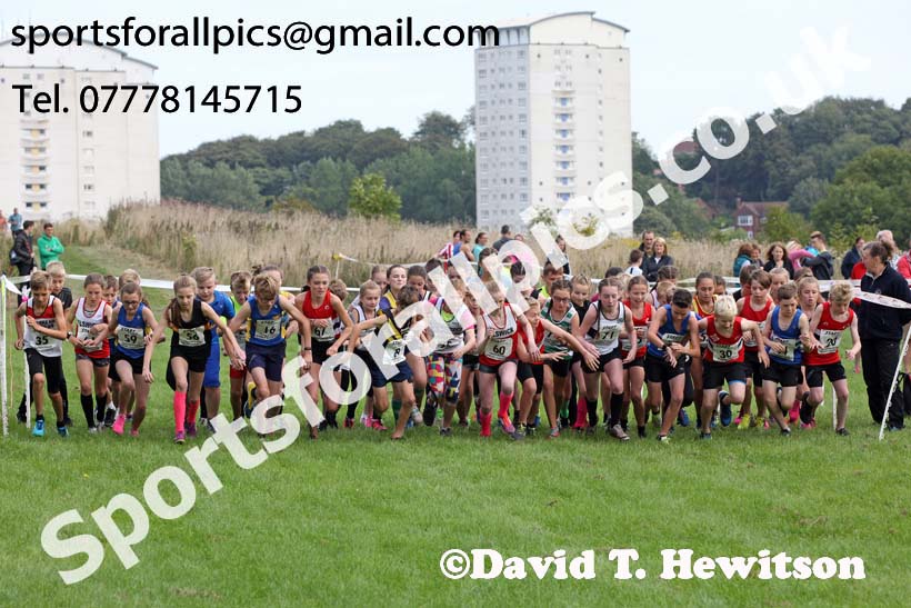 Boys and girls under-13s, Sunderland Harriers Cross Country Relays, Farringdon, Sunderland . Photo: David T. Hewitson/Sports for All Pics